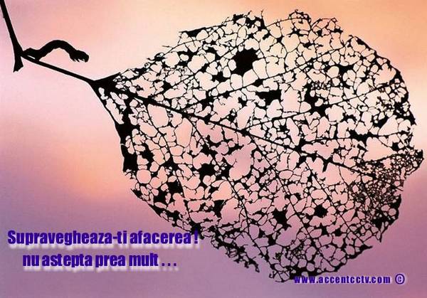 banner supraveghere accentgip